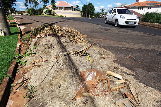 Lixo e restos de poda de rvores na Ribeirnia; Justia quer a suspenso de contratos