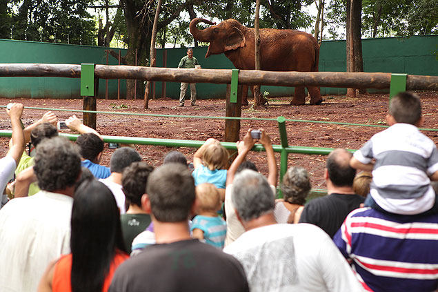 Público tira fotos da elefanta Mayson, nova atração do bosque municipal de Ribeirão Preto (SP)