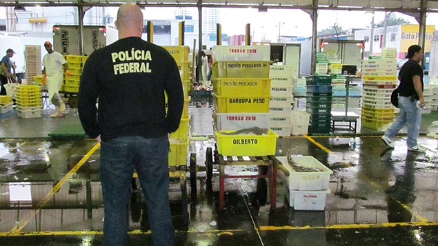 Polícia Federal apreende 700 quilos de peixe no Ceagesp; dois comerciantes foram presos por vender espécie que é proibida para a pesca