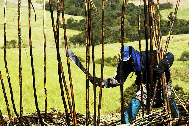 Trabalhador rural usa podo para cortar cana queimada em lavoura de Piracicaba, no interior do Estado de So Paulo