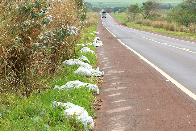 Lixo ao longo da rodovia Mrio Doneg, entre Ribeiro Preto e Pradpolis; risco  vida dos usurios do trecho, segundo prefeito