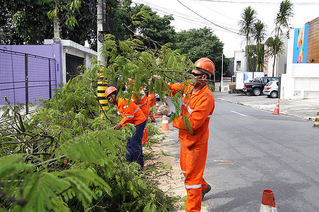 Funcionrios da Prefeitura de So Paulo trabalham na remoo de uma rvore que caiu na alameda Gabriel Monteiro da Silva