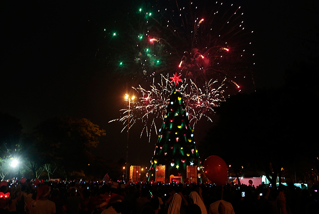Inaugurao da rvore de Natal do parque Ibirapuera em 2013