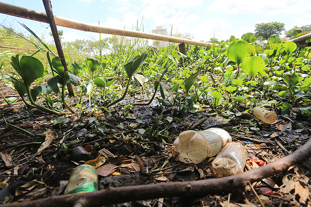 Lixo acumulado ao redor da lagoa da nascente do crrego das Palmeiras, regio de recarga do aqufero