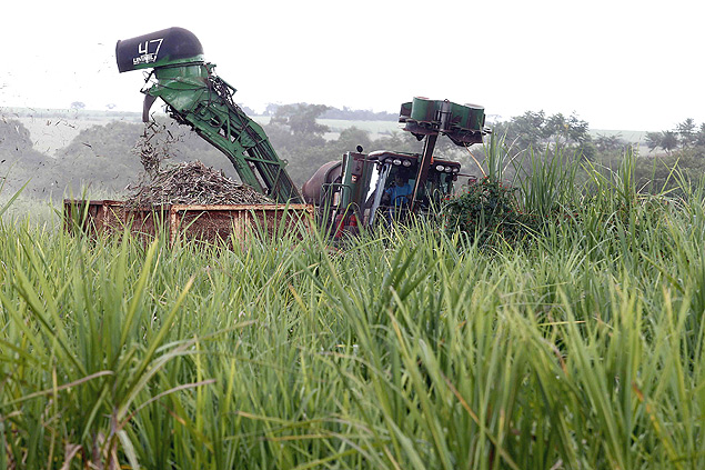 Máquina colhe cana-de-açúcar em lavoura de Cravinhos, na região de Ribeirão Preto