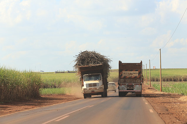 Caminho carrega carga de cana-de-acar sem proteo em estrada vicinal de Jardinpolis