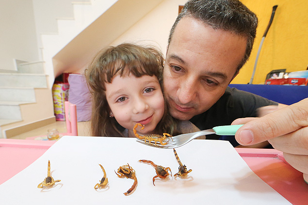Renato mostra escorpies encontrados em casa; a filha dele encontrou um no banheiro