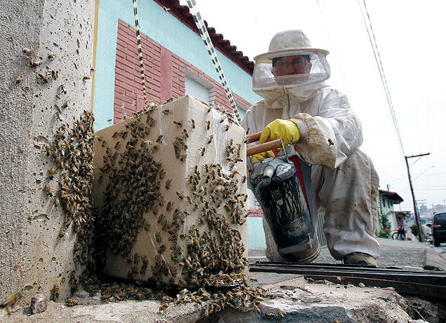 Funcionrio da Prefeitura de Franca retira enxame de abelhas na periferia da cidade