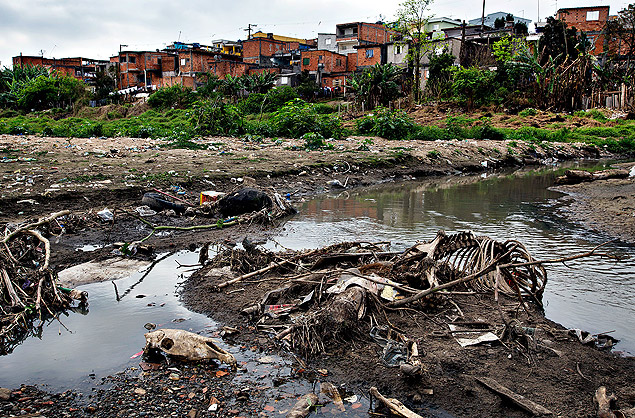 Ossada de cavalo em crrego que desgua na represa Billings, na zona sul de So Paulo