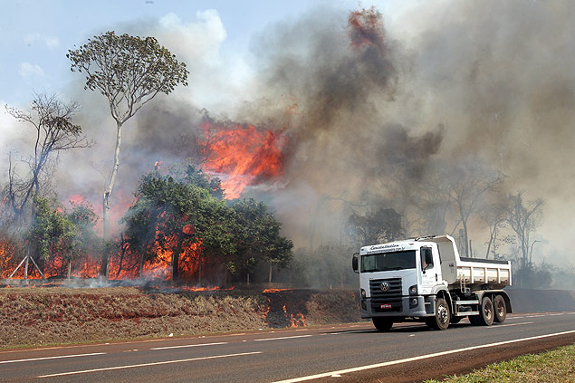 Vista parcial de rea da Mata de Santa Tereza, em Ribeiro Preto, atingida por vrios incndios