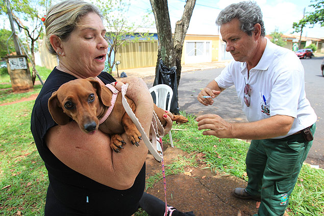 Agente do Controle de Vetores vacina cachorro na Vila Abranches, em Ribeiro Preto