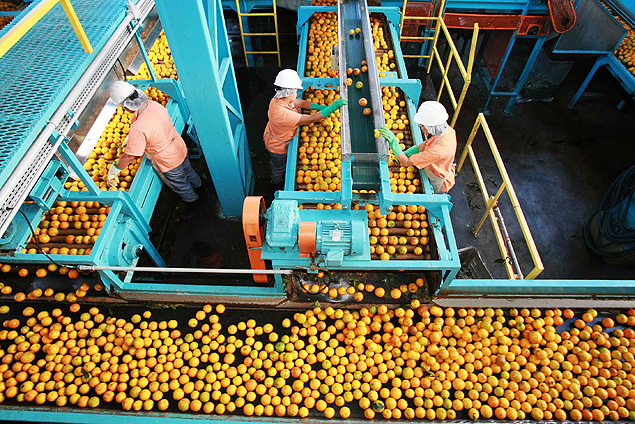 Operrios em fbrica de suco de laranja em Araraquara; setor teve queda na exportao