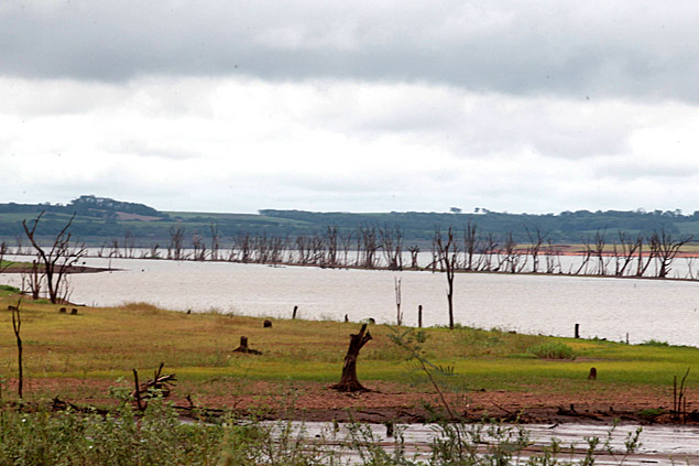 rvores que deveriam estar submersas no rio Grande, na divisa entre SP e MG, em Guaraci