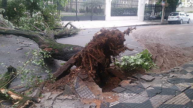 rvore cai e bloqueia a rua Tucum; cidade de So Paulo voltou a ficar em estado de ateno por contra da chuva 