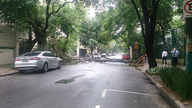 rvore cai e bloqueia a rua Tucum; cidade de So Paulo voltou a ficar em estado de ateno por contra da chuva 