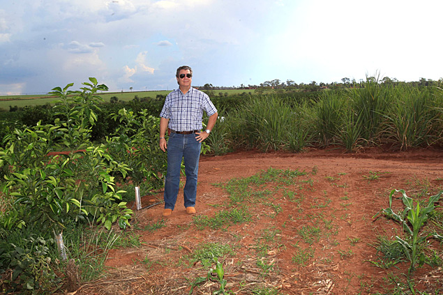 O agricultor Carlos Eduardo Correa Jnior, que tem laranja e cana em sua fazenda em Terra Roxa