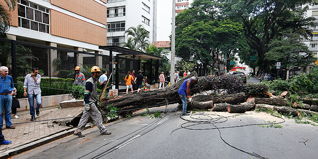 Funcionrios da prefeitura cortam rvore que caiu na rua Sergipe, em Higienpolis durante a chuva da madrugada. (Foto: Moacyr Lopes Junior/Folhapress