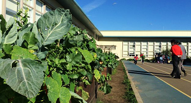 Na escola municipal Ulloa, a gua para regar hortas vem da coleta da chuva