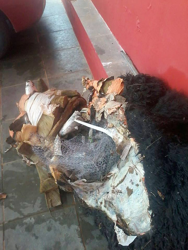 Boneco de lobisomem que foi furtado em Joanpolis  encontrado queimado 
