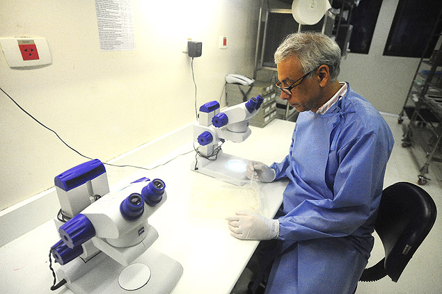 O pesquisador Ricardo Loureno, um dos principais estudiosos sobre dengue no Brasil