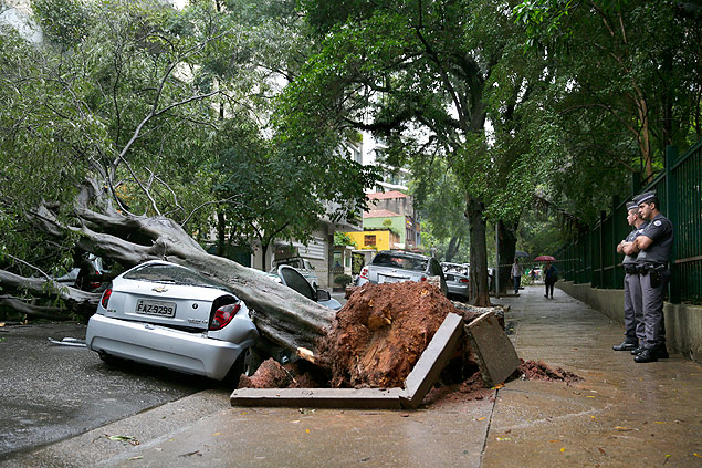 rvore cai em cima de carro na rua Alagoas, em Higienpolis, no centro de So Paulo