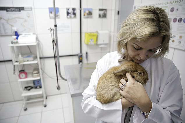 A veterinria Gabriela Muniz, que resgatou o coelho Gabriel, vtima de maus-tratos