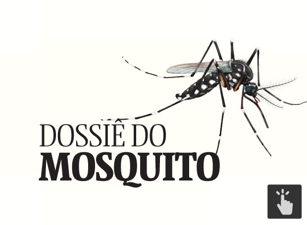 Clique e entenda tudo sobre o Aedes aegypti, mosquito transmissor da dengue