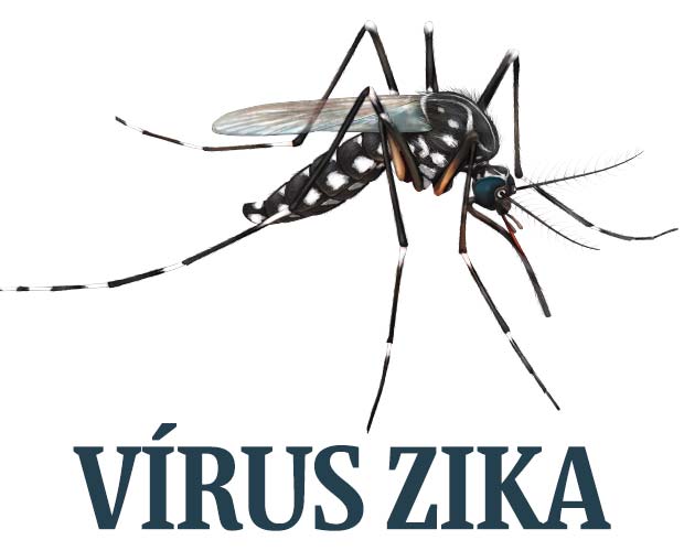 Resultado de imagem para imagem zika