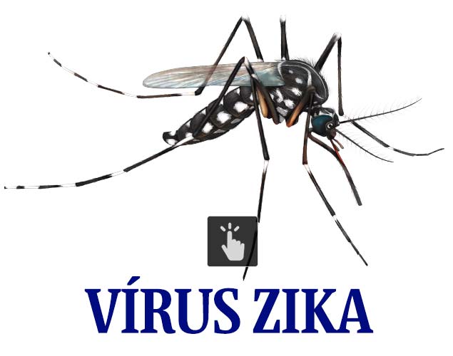 Clique e veja especial sobre o mosquito _Aedes aegypti_