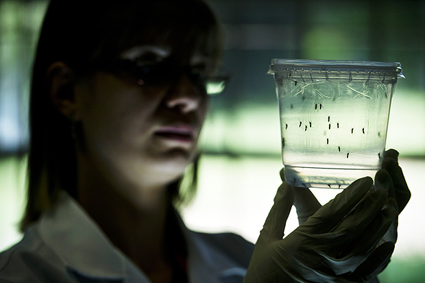 Fiocruz espera poder distribuir exame sorolgico para deteco de infeco por zika a partir do final de 2016