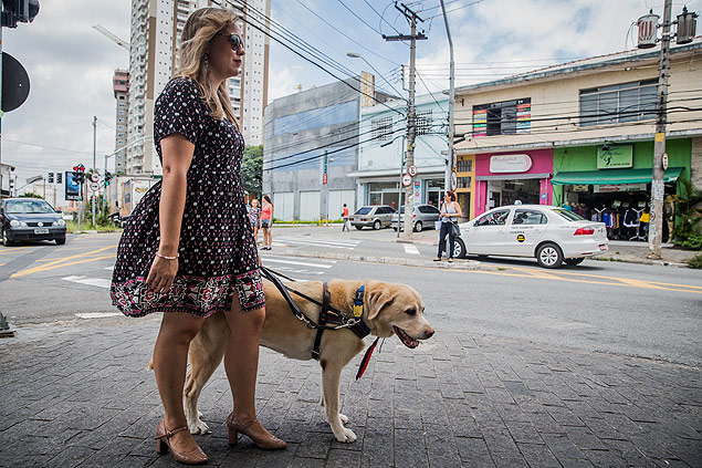 Daniela Kovács, funcionária do TRT, com o labrador Basher, seu cão-guia há sete anos. Foto: Eduardo Anizelli/Folhapress