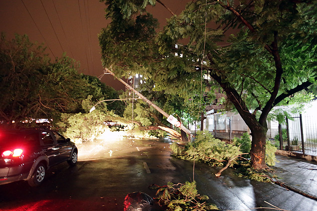 Árvore cai em rua de Porto Alegre após temporal com ventos de até 120 km/h
