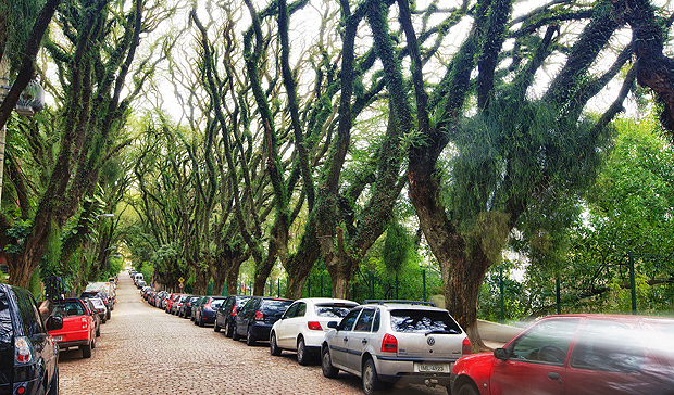 Rua Gonalo de Carvalho, na regio central de Porto Alegre (RS), que ficou famosa na internet como "a rua mais bonita do mundo"