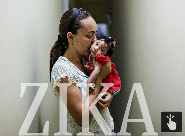 Clique na foto e veja o especial sobre o vírus da zika e microcefalia