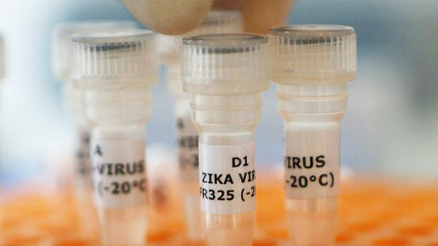 Butantan pode testar vacina contra o vrus da zika no primeiro semestre de 2017