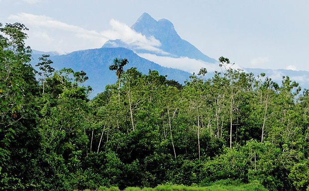 Parque Nacional do Pico da Neblina BIOMA: Amazonia ***DIREITOS RESERVADOS. NO PUBLICAR SEM AUTORIZAO DO DETENTOR DOS DIREITOS AUTORAIS E DE IMAGEM***