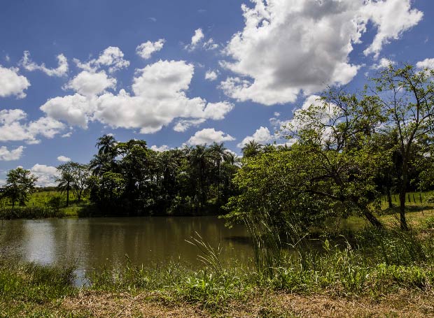 Lago de nascente que está sendo recuperada em fazenda de Jaguariúna (SP)