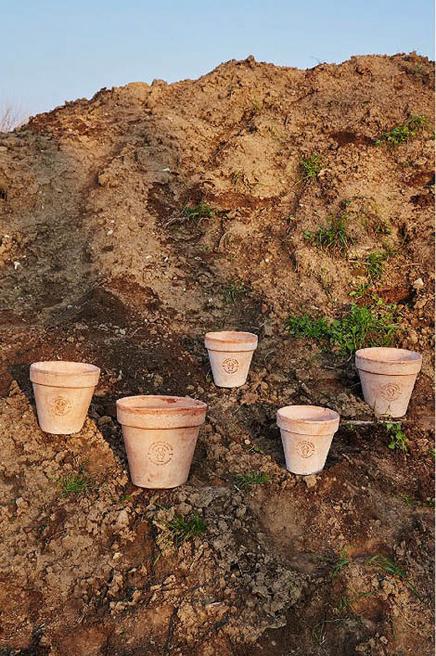 legenda foto 2: Vasos de vrios tamanhos feitos de Merdacotta, produzida com esterco de vacacrdito: Divulgao/catlogo mostra “The Shit Evolution” 