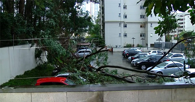 rvore cai e atinge carros em condomnio durante a madrugada, na Vila Andrade, zona sul de SP