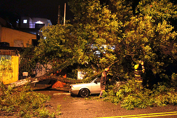 SO PAULO,SP,21.05.2016:QUEDA RVORE/ZONA NORTE - Queda de rvore na Avenida Parada Pinto, na Vila Nova Cachoeirinha durante o temporal que atingiu a cidade de So Paulo, SP, na noite desta sexta-feira, (20).. (Foto: Edison Temoteo/Futura Press/Folhapress) *** PARCEIRO FOLHAPRESS - FOTO COM CUSTO EXTRA E CRDITOS OBRIGATRIOS ***