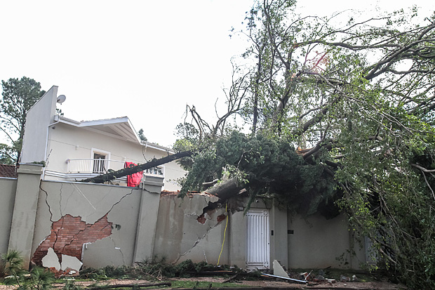 rvores caem sobre muro de casa durante temporal que atingiu Campinas, acompanhado de tornado 