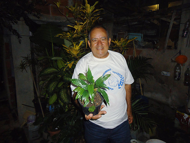 O homem das plantinhas': a histria do morador que se dedica a reflorestar as favelas do RJ