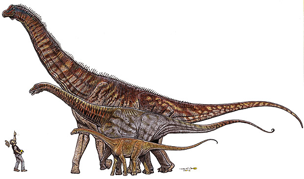 Maior dinossauro do Brasil