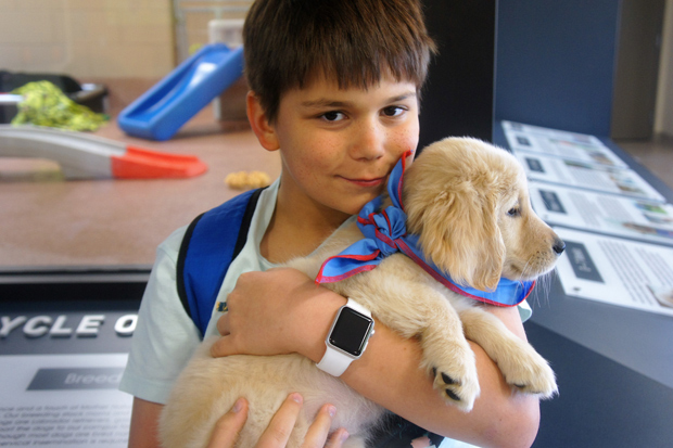 João Nicastro Silveira, 11, com um filhote de cão-guia; o menino levantou R$ 17 mil sozinho para a viagem