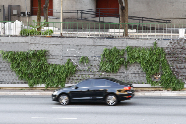 Muro da avenida 23 de Maio recebe as primeiras mudas aps remoo de grafites; via formar corredor verde