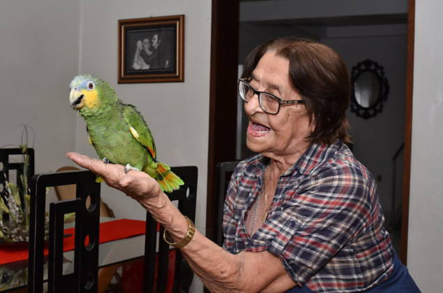 O papagaio Leozinho na casa de sua dona, Izaura, em Cajazeiras, no serto da Paraba