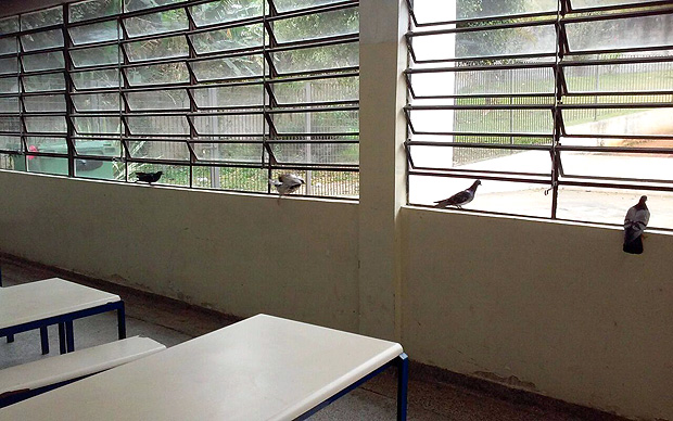 Pombos no refeitrio da Escola Municipal Professora Valdelice Aparecida Medeiros Prass, em Embu