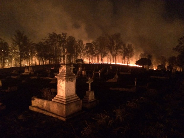 Incêndio consome vegetação do Parque Estadual Juquery, em Franco da Rocha, na Grande São Paulo