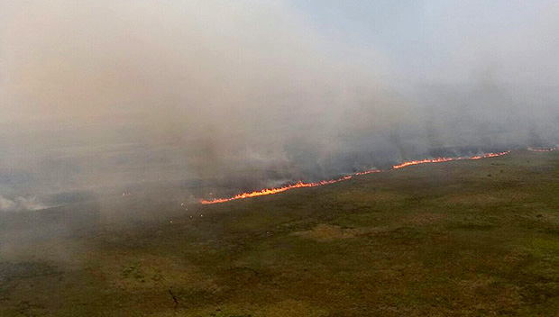 Incndio atinge parque estadual em MS desde sexta (13); ao menos 5 mil hectares foram destrudos