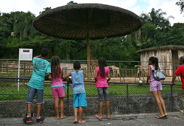 Morreu por febre amarela | SP fecha zoológico e Jardim Botânico após macaco ser encontrado morto